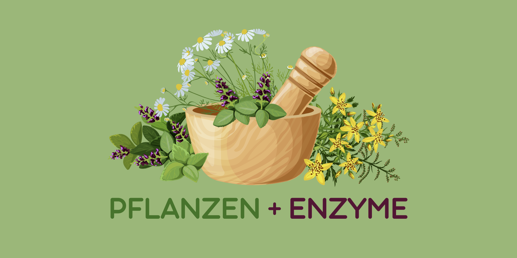 Plants + Enzymes